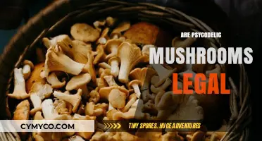 Exploring the Legal Landscape of Psychedelic Mushrooms: A Comprehensive Guide