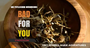 Exploring the Effects: Are Psilocybin Mushrooms Harmful?