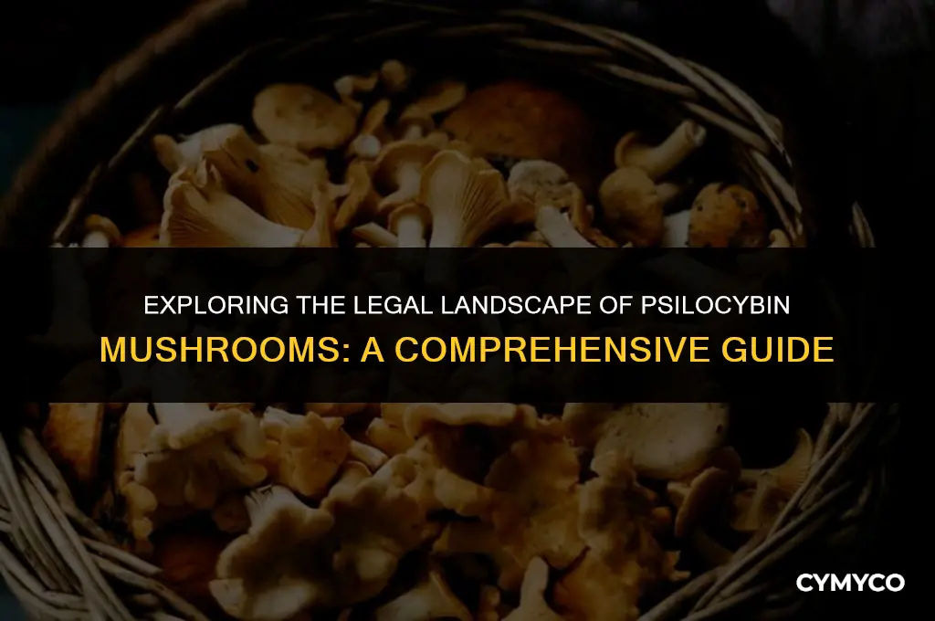 are psylocibin mushrooms legal