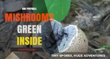 Are Puffball Mushrooms Green Inside? Unveiling the Truth About Their Color