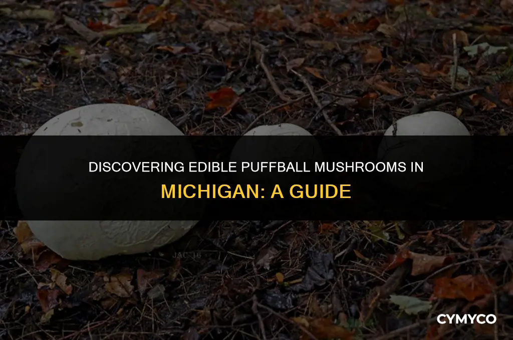 are puffball mushrooms edible here in michigan