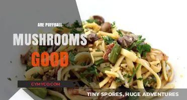 Are Puffball Mushrooms Good? Exploring Their Benefits and Culinary Uses