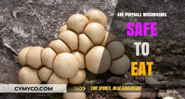 Are Puffball Mushrooms Safe to Eat? A Comprehensive Guide