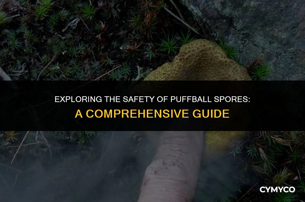 are puffball spores dangerous