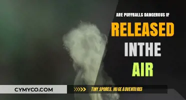 Are Airborne Puffballs Harmful? Uncovering the Risks of Released Spores