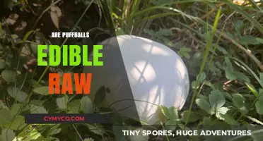 Can You Eat Puffballs Raw? A Guide to Safe Consumption