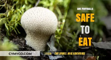 Exploring the Edibility of Puffballs: A Comprehensive Guide