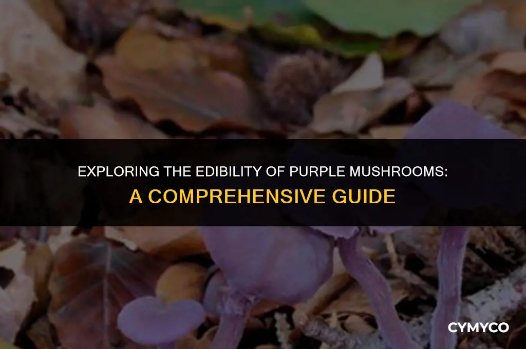 are purple mushrooms edible