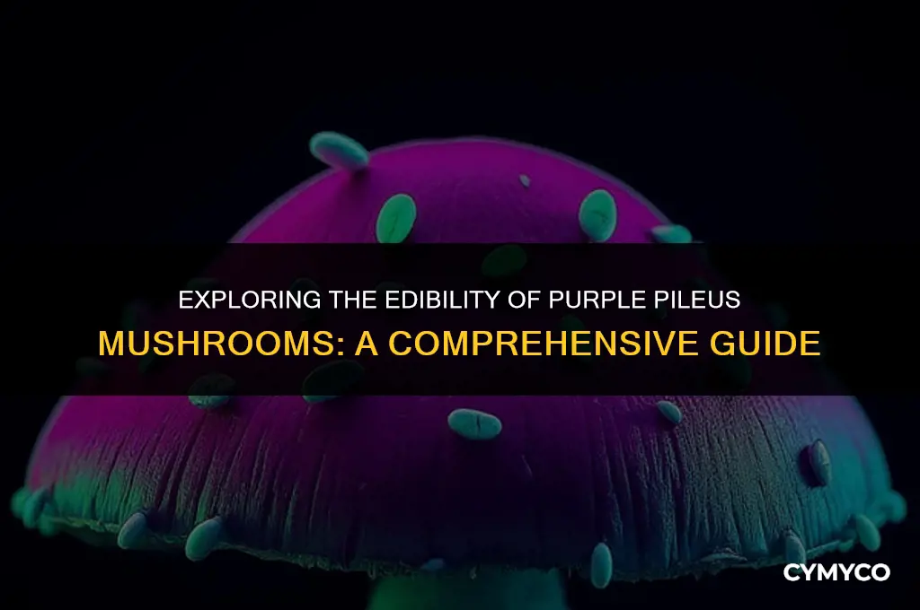 are purple pileus mushroom poisonous