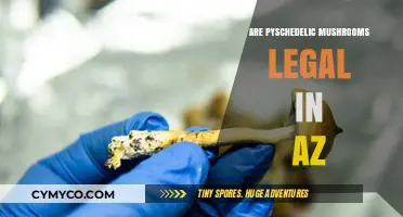 Exploring the Legal Landscape of Psychedelic Mushrooms in Arizona