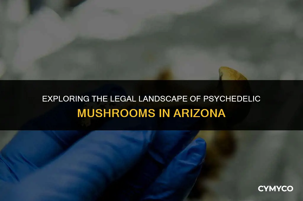 are pyschedelic mushrooms legal in az