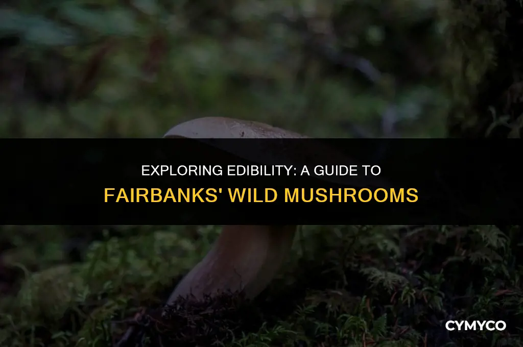 are random mushrooms found in fairbanks edible