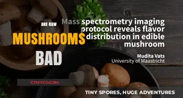 Exploring the Edibility and Safety of Raw Mushrooms: A Comprehensive Guide