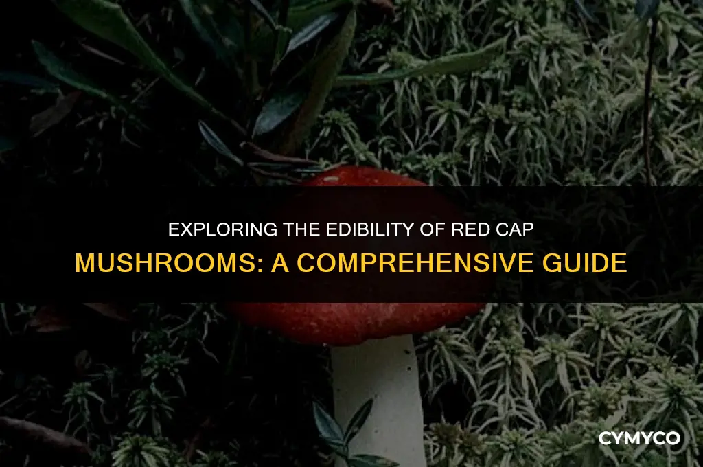 are red cap mushrooms poisonous