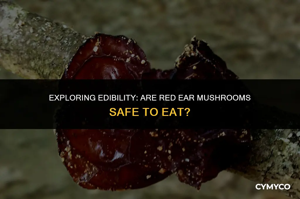 are red ear mushrooms edible