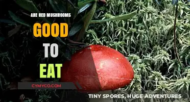 Exploring Edibility: Are Red Mushrooms Safe to Eat?