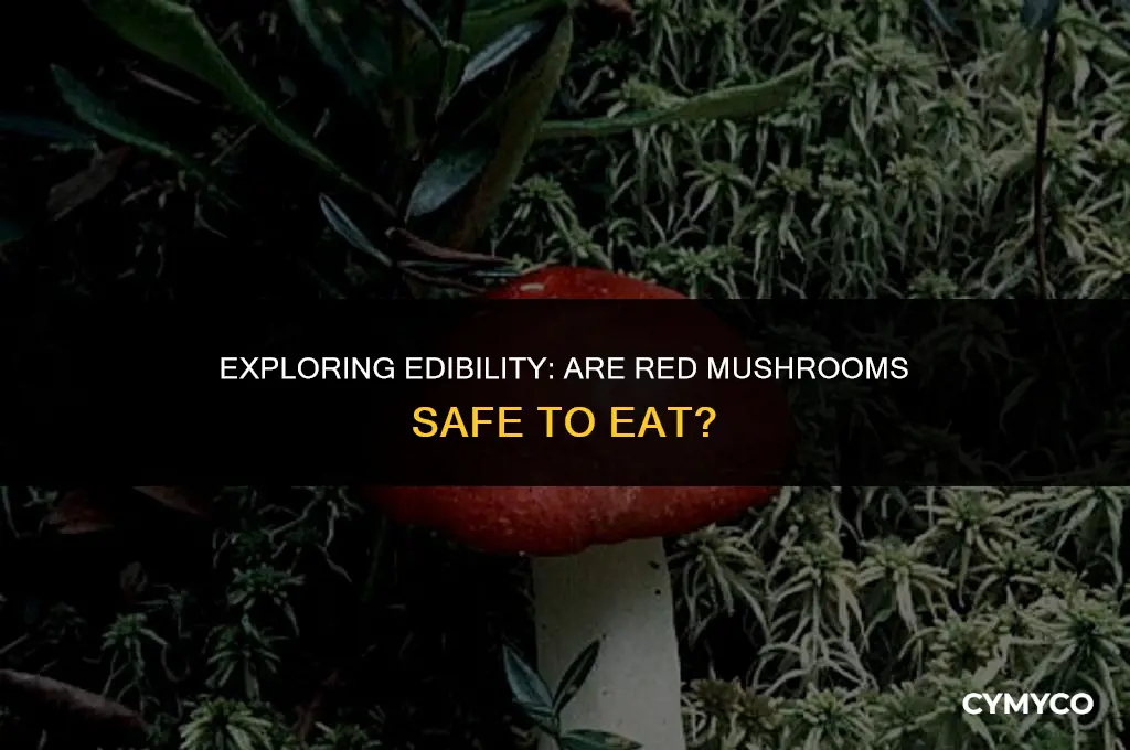 are red mushrooms good to eat