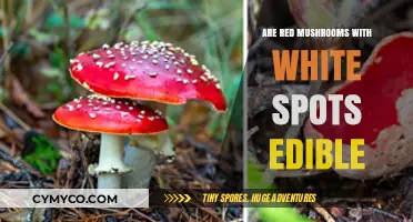 Exploring Edibility: Red Mushrooms with White Spots - Safe or Toxic?