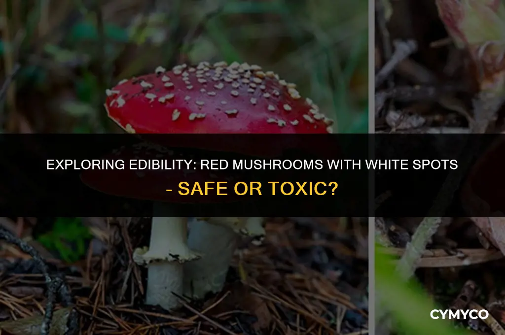 are red mushrooms with white spots edible