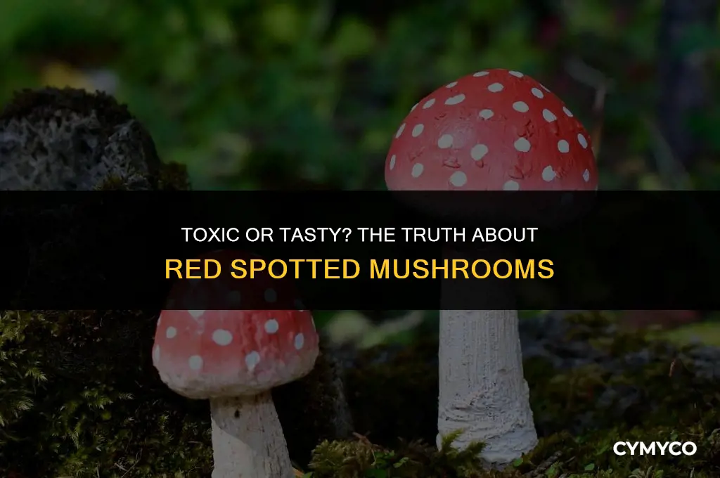 are red spotted mushrooms poisonous