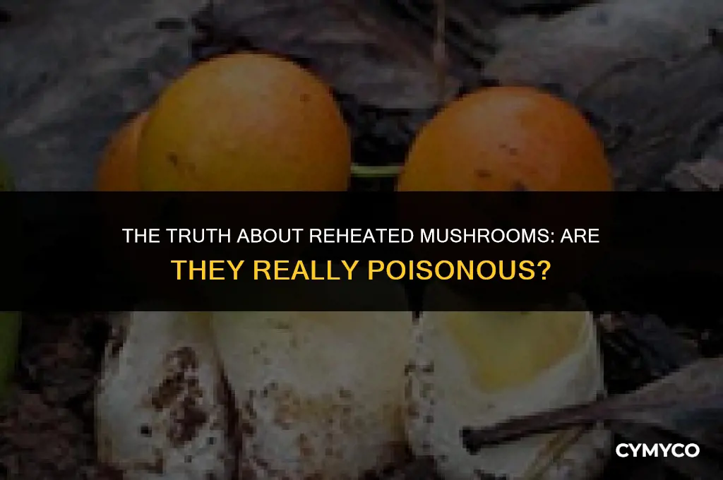 are reheated mushrooms poisonous