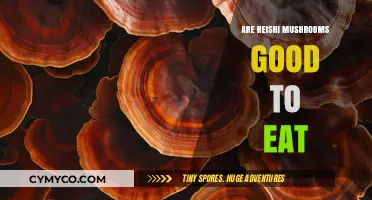 Exploring the Edibility and Benefits of Reishi Mushrooms