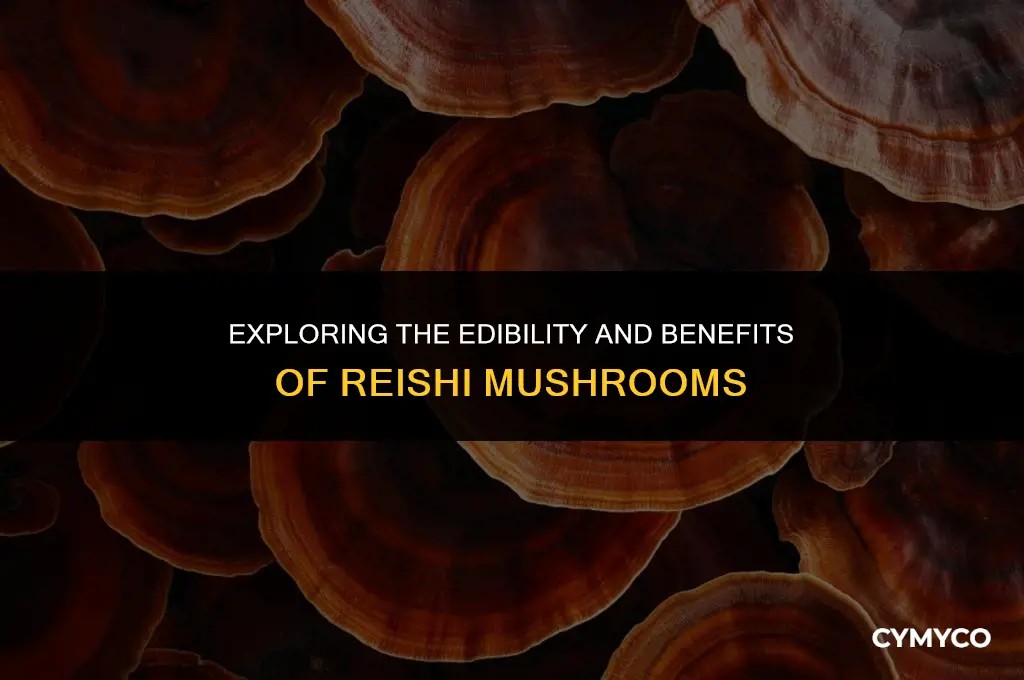 are reishi mushrooms good to eat