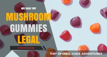 Exploring the Legality of Mushroom Gummies on Road Trips