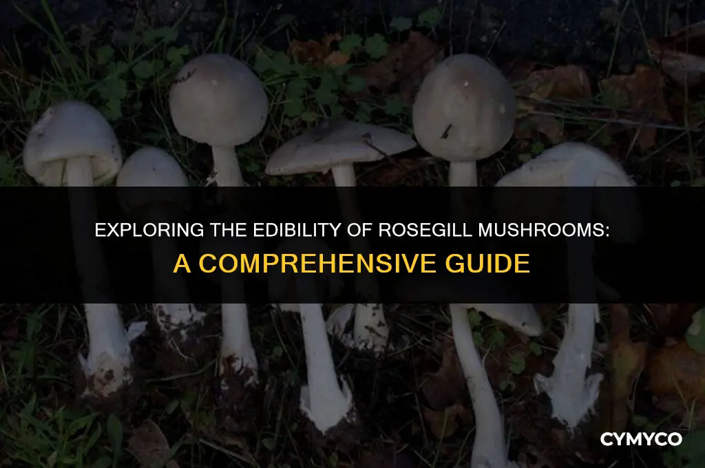 are rosegill mushrooms edible