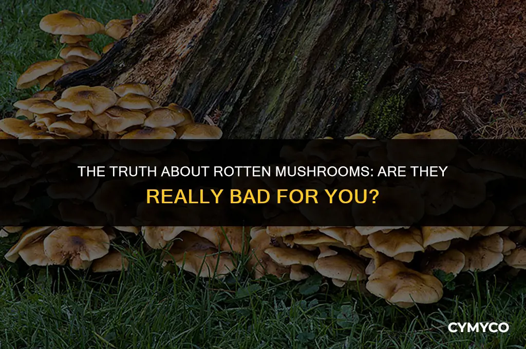 are rotten mushrooms bad for you