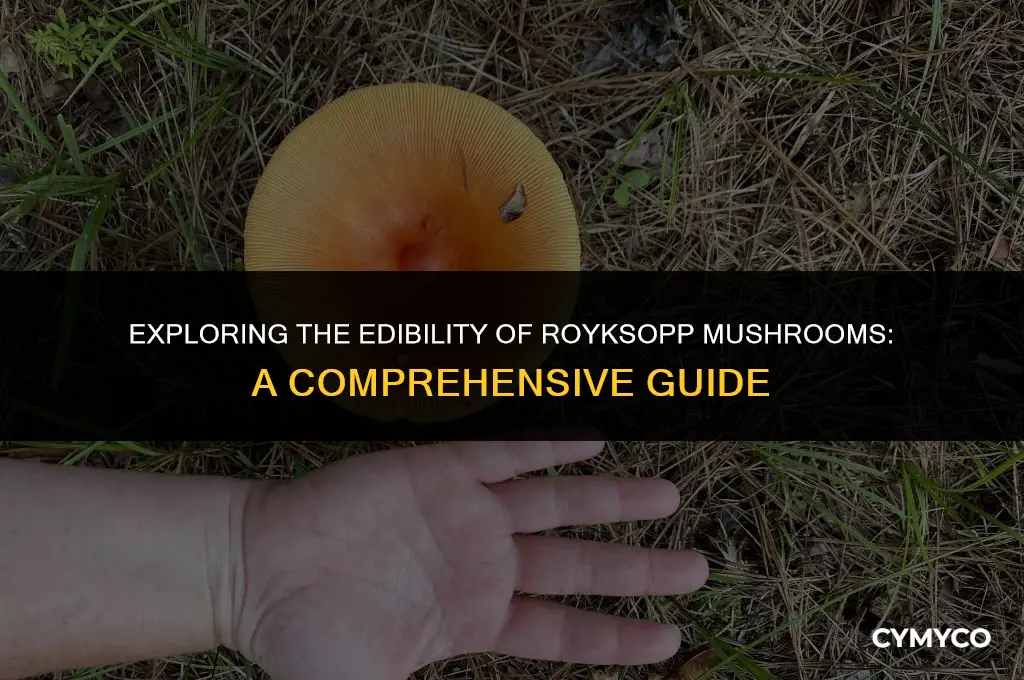 are royksopp mushrooms edible