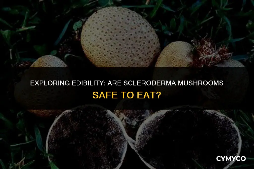 are scleroderma mushroom edible
