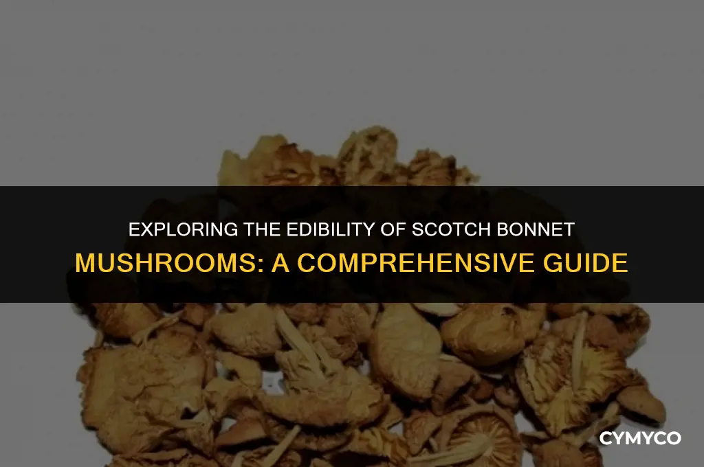 are scotch bonnet mushrooms edible