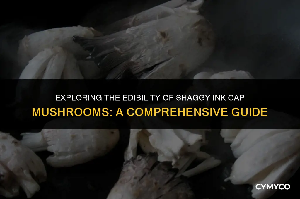 are shaggy ink cap mushrooms edible