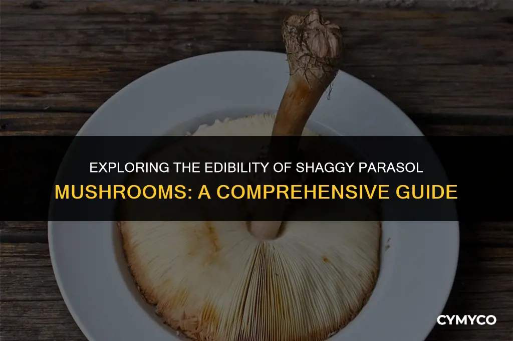 are shaggy parasol mushrooms edible