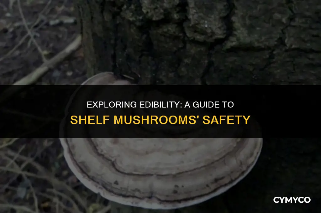 are shelf mushrooms safe to eat