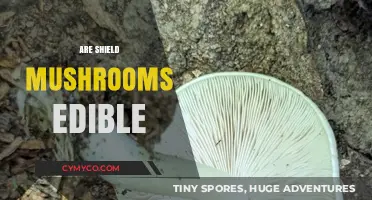Exploring the Edibility of Shield Mushrooms: A Comprehensive Guide