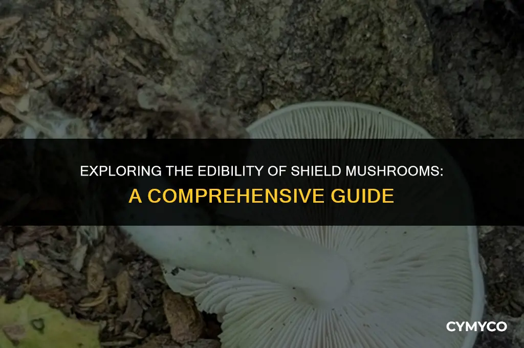 are shield mushrooms edible