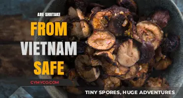 Exploring the Safety of Vietnamese Shiitake Mushrooms: A Comprehensive Guide