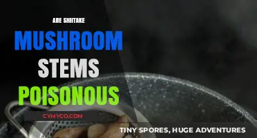 Exploring Edibility: The Truth About Shiitake Mushroom Stems