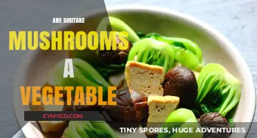 Exploring the Nutritional Benefits of Shiitake Mushrooms as a Vegetable Alternative