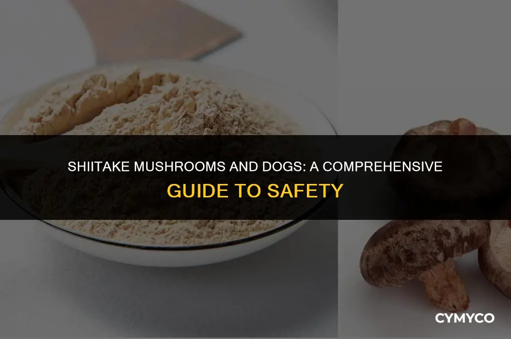 are shiitake mushrooms bad for dogs