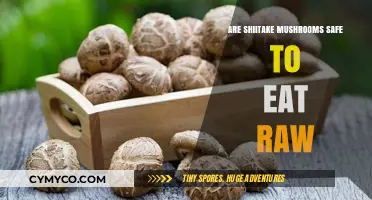 Exploring the Safety of Raw Shiitake Mushrooms: A Comprehensive Guide