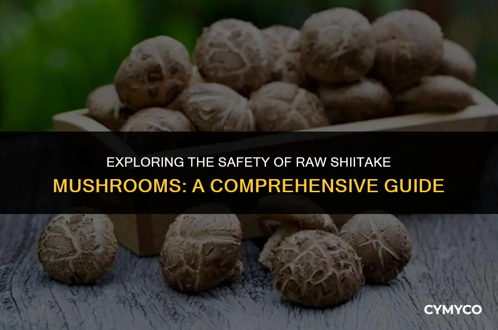 are shiitake mushrooms safe to eat raw