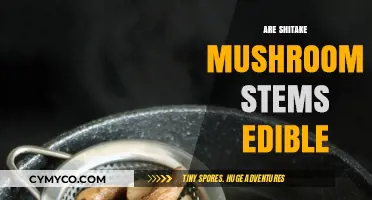 Exploring Edibility: Can You Eat Shiitake Mushroom Stems?
