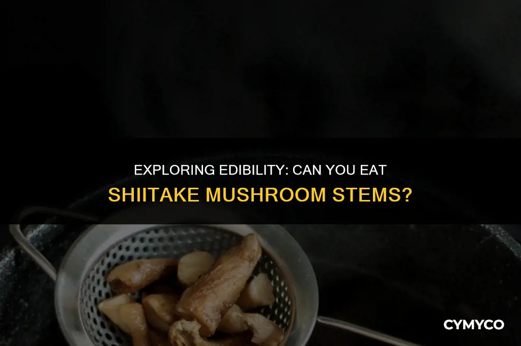 are shitake mushroom stems edible