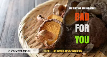 Unveiling the Truth: Are Shiitake Mushrooms Harmful to Your Health?