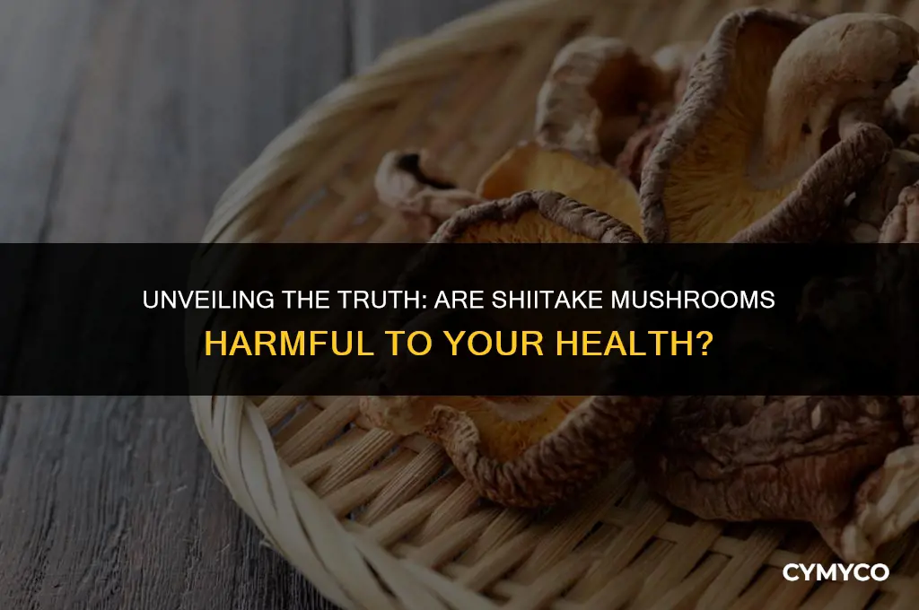 are shitake mushrooms bad for you
