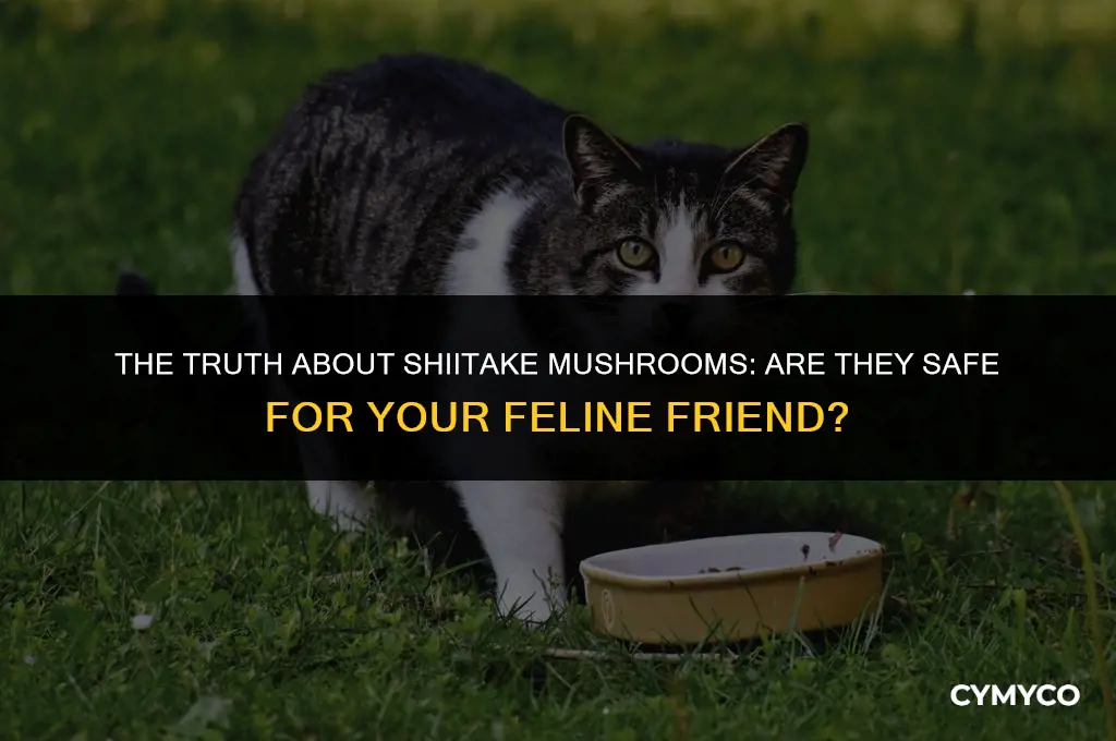 are shitakke mushrooms bad for cats