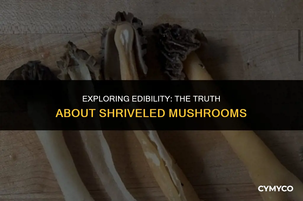 are shriveled mushrooms safe to eat
